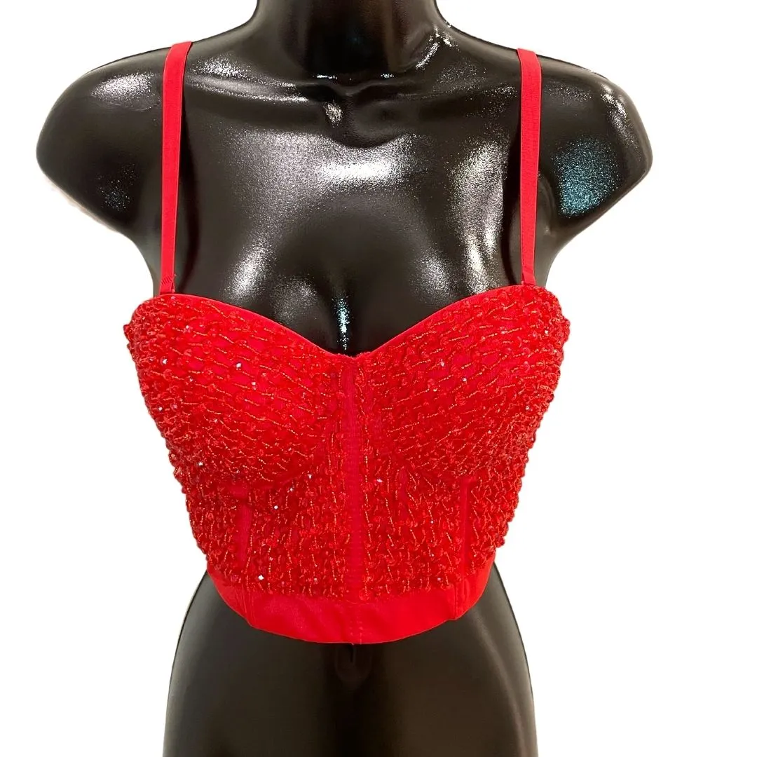 Scarlet Bustier
